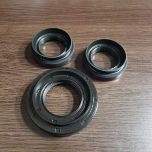 OEM R200 Differential Oil Seal 3 Piece Set