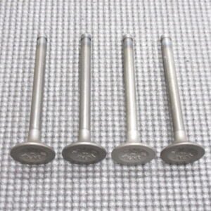 Sunny B110 A12 Engine Exhaust Valve Set of 4
