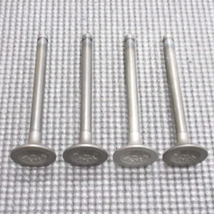 Sunny B110 A12 Engine Exhaust Valve Set of 4