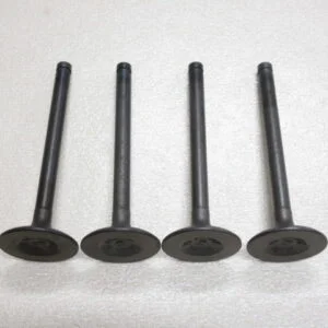 Sunny B110 A12 Engine Intake Valve Set of 4