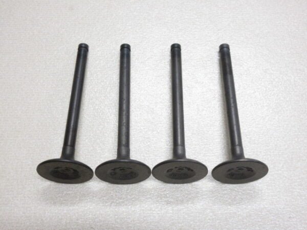 Sunny B110 A12 Engine Intake Valve Set of 4