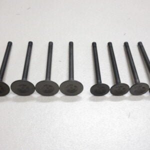 Sunny B110 A12 Engine Valve Set