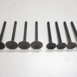 Sunny B110 A12 Engine Valve Set