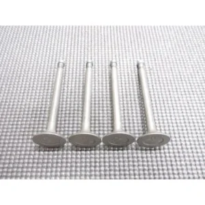Sunny B110 A14 Engine Exhaust Valve Set of 4