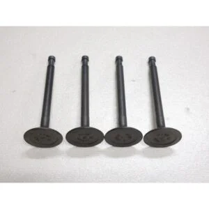 Sunny B110 A14 Engine Intake Valve Set of 4