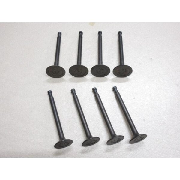 Sunny B110 A14 Engine Valve Set